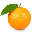 Citrus fruitS
