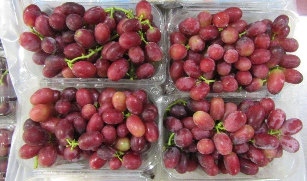 Raisins sans pépins