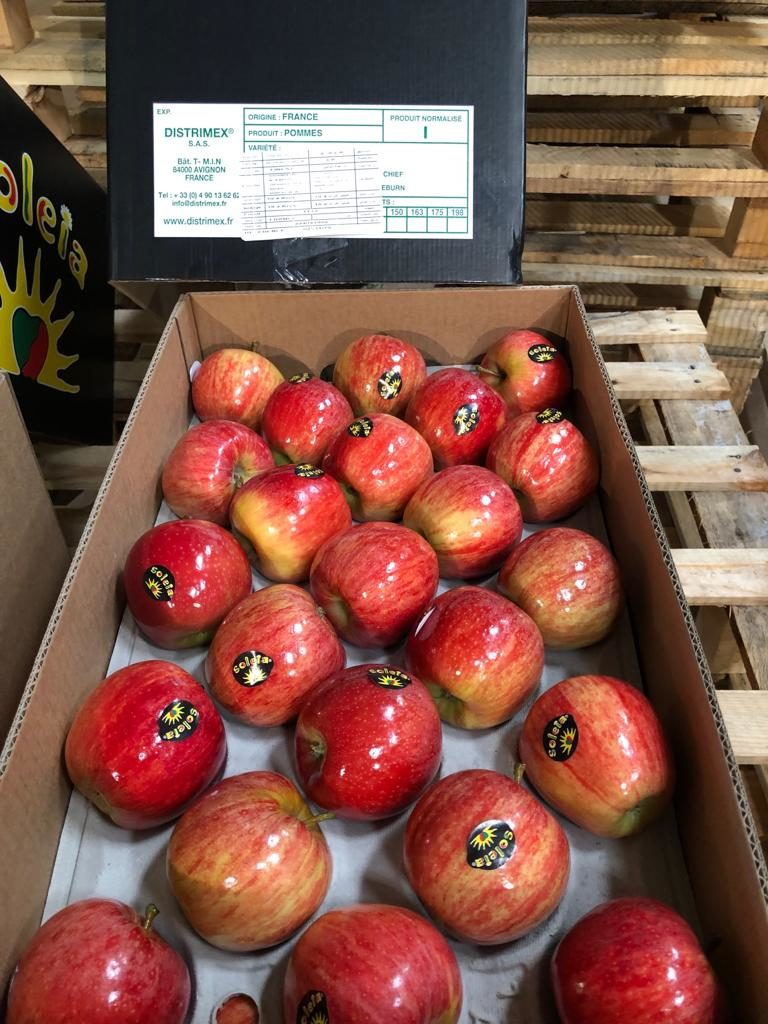 Pomme Nouvelle récolte