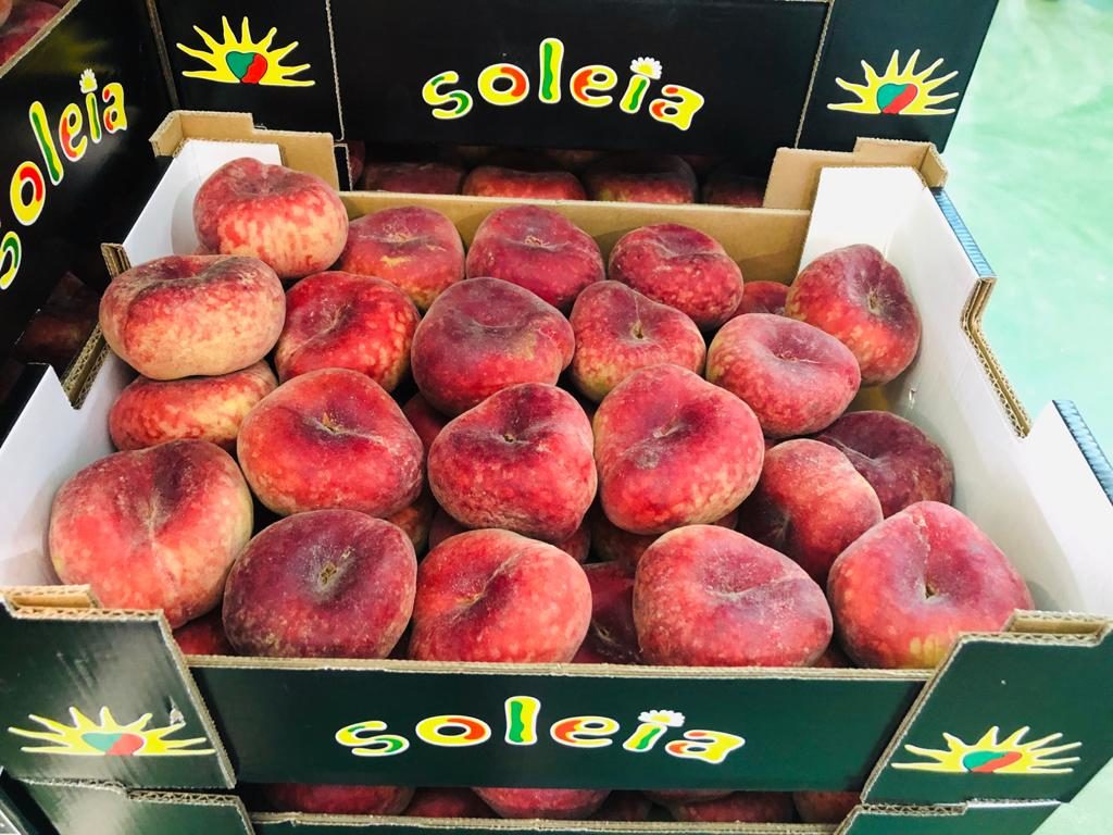 NUEVA CAMPAÑA DE FRUTA DE HUESO