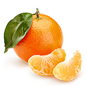 Citrus fruitS